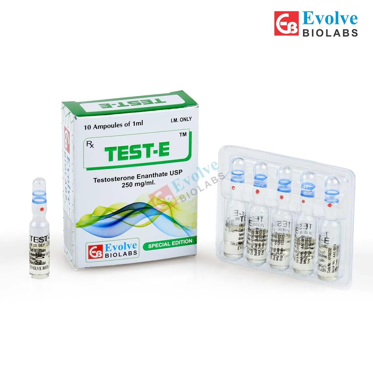 Test-E (Amp)